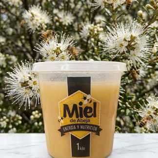 Miel Multiflora de Chiloé, 1 Kilo
